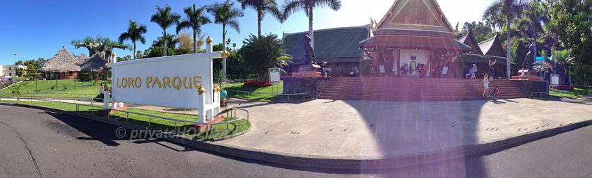 Loro Parque Tenerife