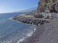 Tabaiba - Tenerife