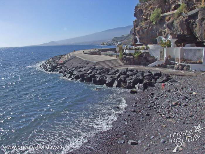 Tabaiba - Tenerife