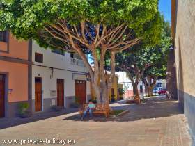 Arona Teneriffa /Tenerife