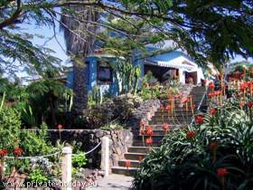 Villa In A Finca - Tenerife