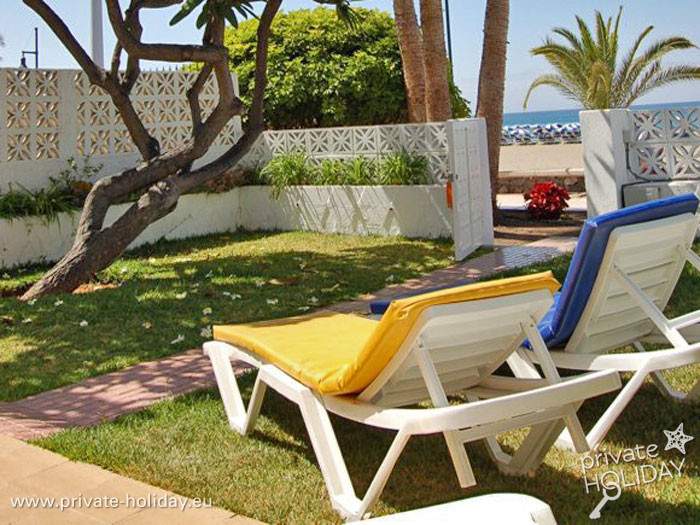 Lawn with deck chairs