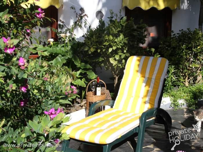 Lawn with deck chairs