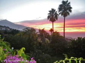 House at finca with garden