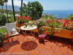 Small house with roof terrace