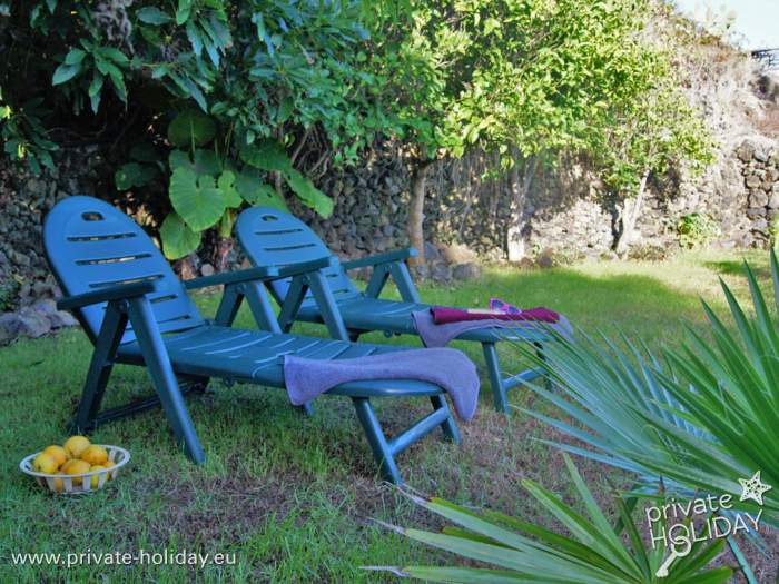 Lawn with deck chairs