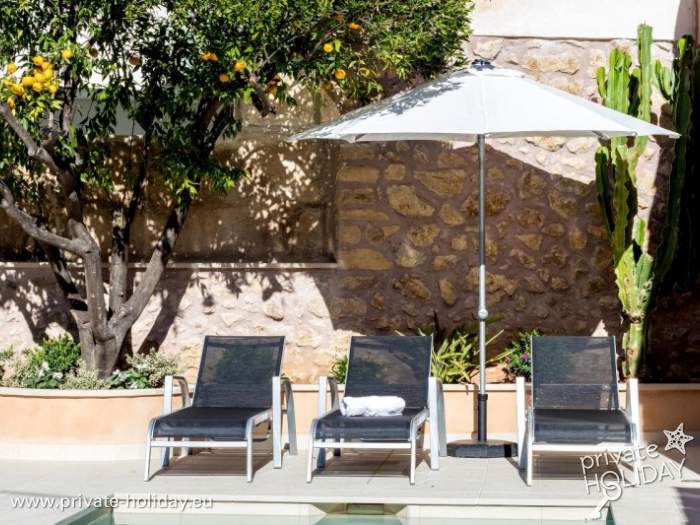 Lawn with deck chairs